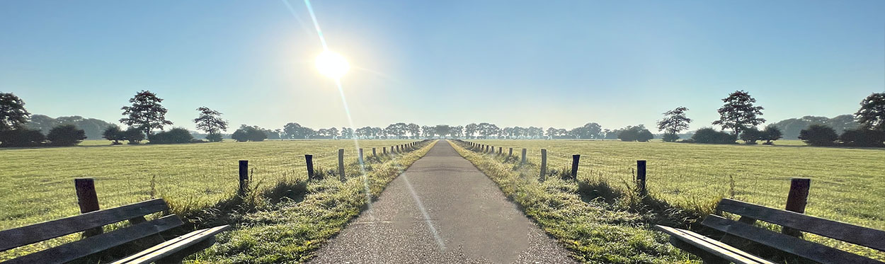 cycling landscape